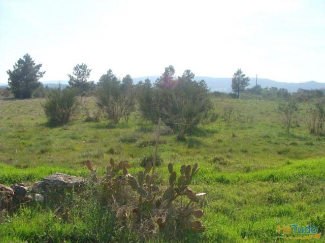 Terreno agrícola | 26081486914