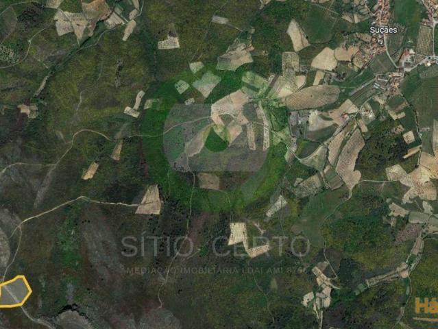 Terreno agrícola | 26083592132