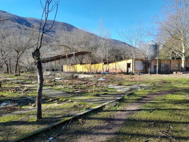 TERRENO AGRICOLA