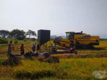 Terreno Agrícola 4 ha Producción arroz