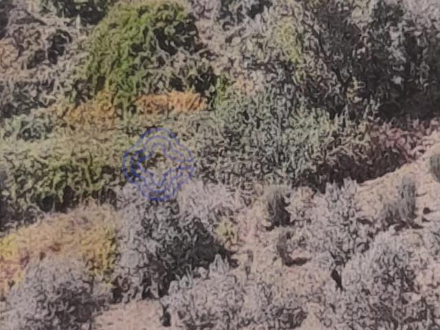 Terreno Agrícola