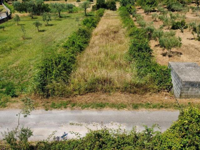 Terreno Agrícola