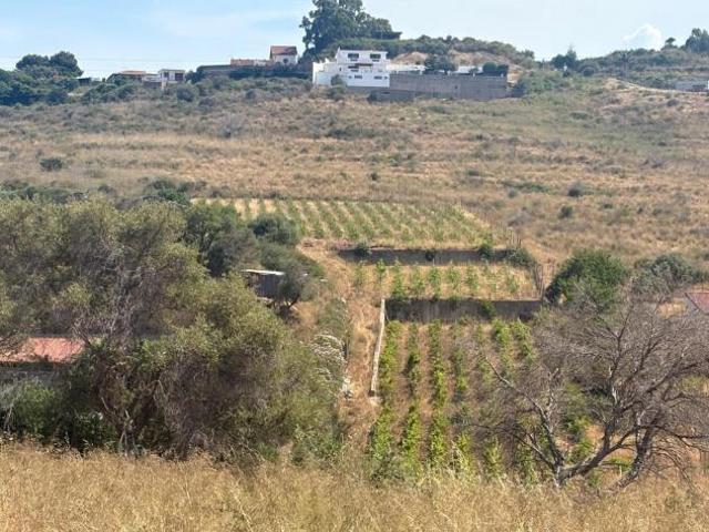 Terreno Agricolo Messina. Rif.: Cod. rif 3325955VCG