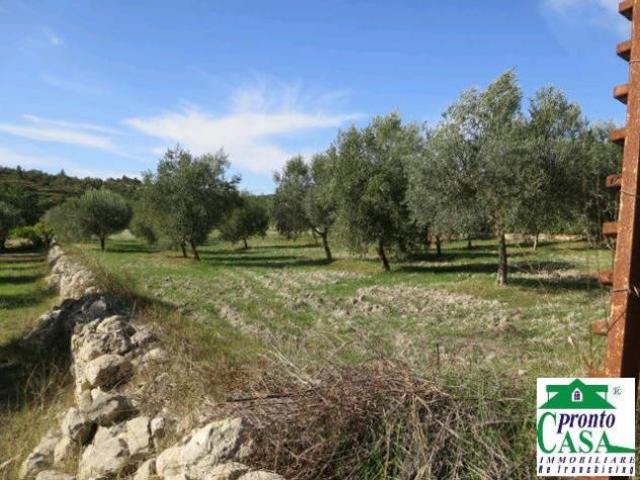 Terreno agricolo a Giarratana con pozzo artesiano