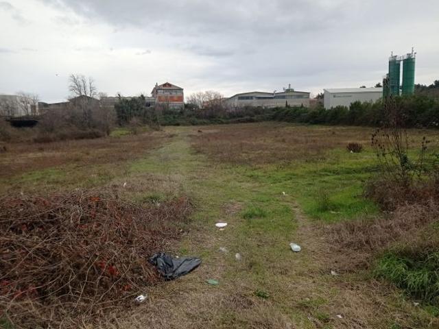 Terreno agricolo a Monte Porzio Catone, localit Massarosa