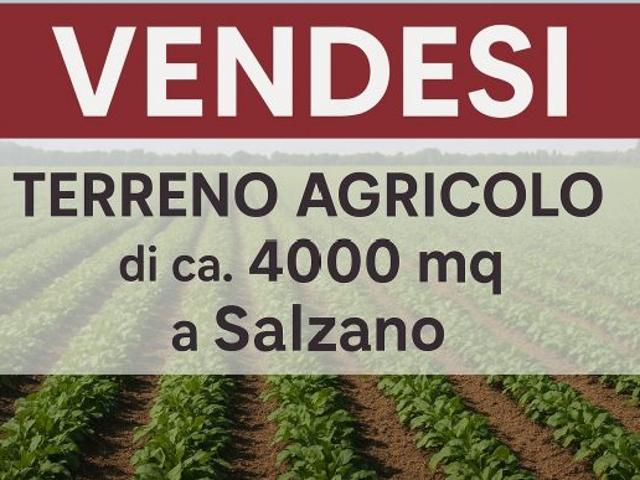 Terreno agricolo a Salzano GL1599