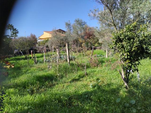 Terreno Agricolo a San Giovanni la Punta