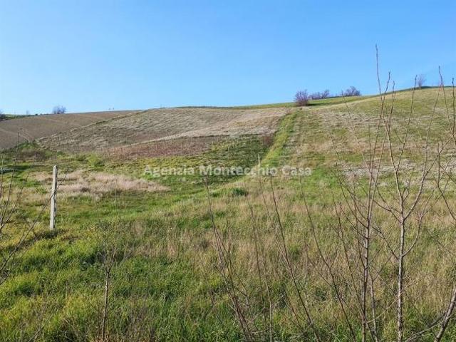TERRENO AGRICOLO ADIACENTE AL PAESE