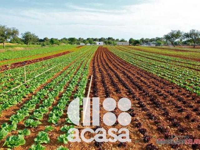 TERRENO AGRICOLO AGRIFOTOVOLTAICO