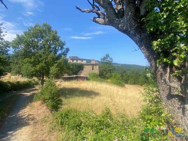 Terreno Agricolo da ristrutturare in località molinelli 59, Berceto