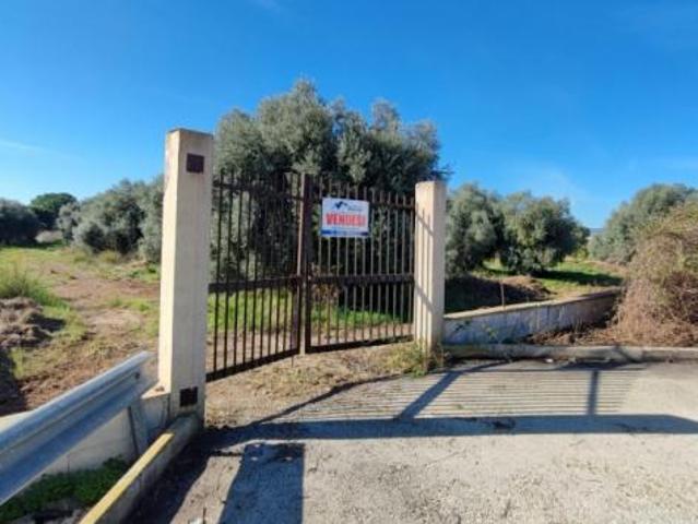 Terreno Agricolo di mq 7000 in strada per Floridia
