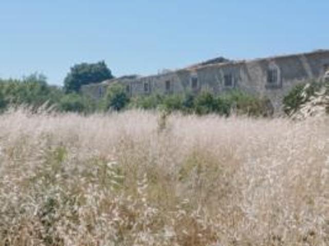Terreno agricolo di mq 9000 in contrada Muraglia Mele