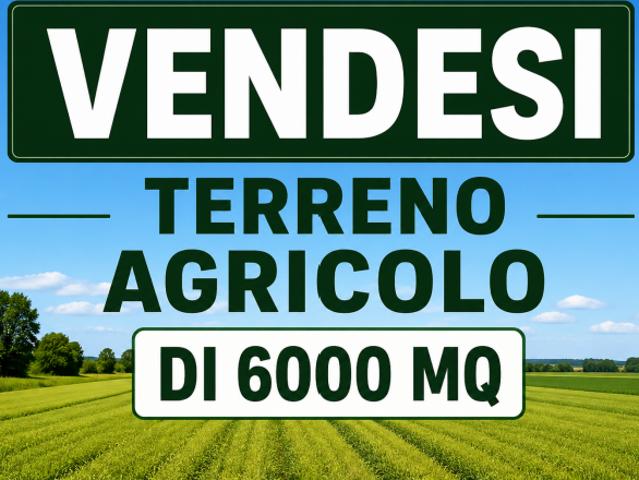 Terreno agricolo di circa 6.000 mq