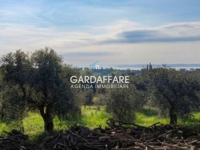 TERRENO AGRICOLO DI VISTA LAGO A MONIGA DEL GARDA