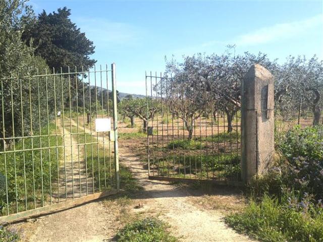 Terreno Agricolo di 14880 mq a Erice