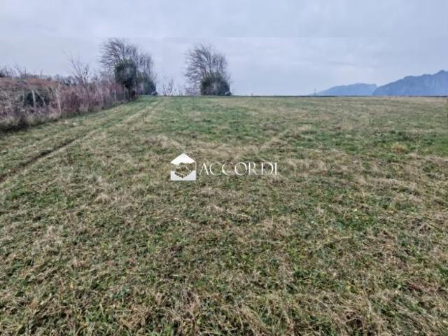 TERRENO AGRICOLO di 1500 mq MUSSOLENTE rif. BL060