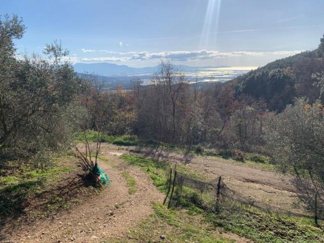 Terreno agricolo di 10.000 mq c,a