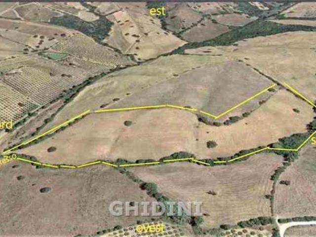 TERRENO AGRICOLO di 1 vani e di 56000 mq GROSSETO rif. 2259.159M
