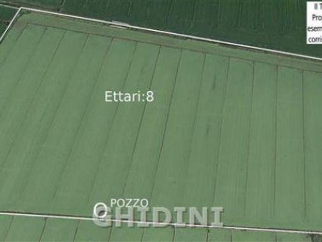 TERRENO AGRICOLO di 1 vani e di 80000 mq ORBETELLO ALBINIA rif. 2375.272M