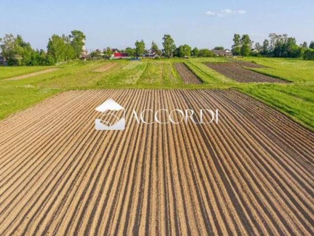 TERRENO AGRICOLO di 29000 mq TREVISO rif. DG324