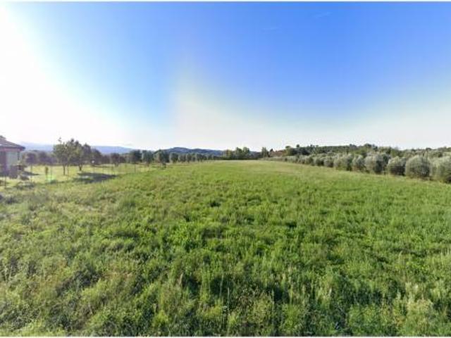TERRENO AGRICOLO di 37360 mq GROSSETO Istia d'Ombrone rif. TE.17
