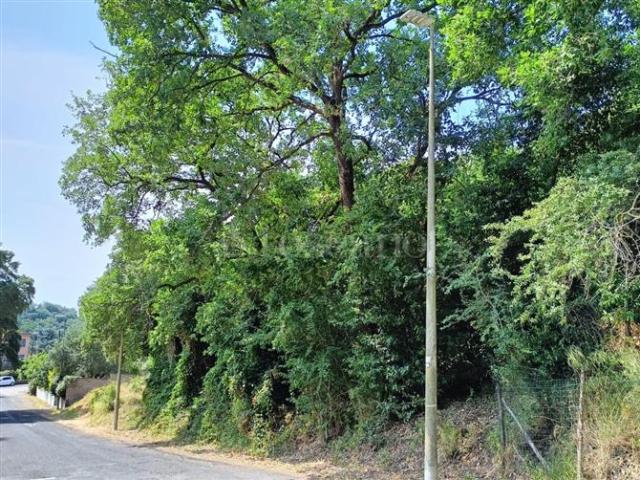 Terreno Agricolo di 3000 mq a Olgiata, Giustiniana Roma