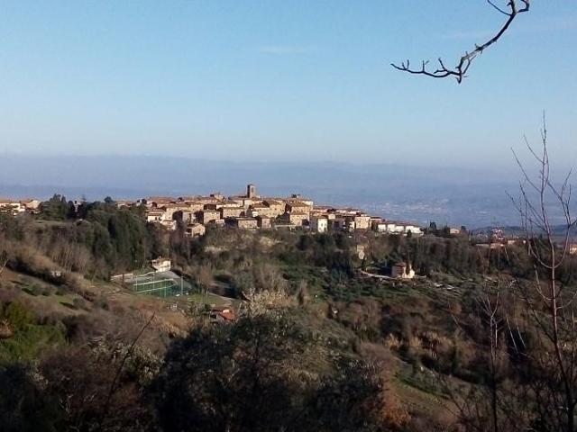 TERRENO AGRICOLO di 3000 mq GAMBASSI TERME rif. G 553