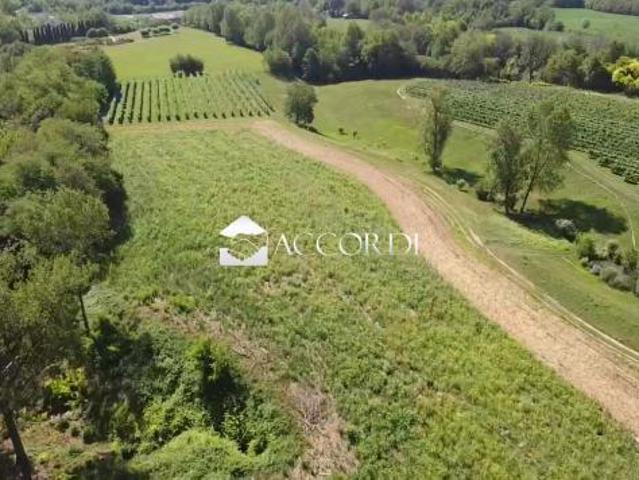 TERRENO AGRICOLO di 31444 mq ASOLO rif. SW186