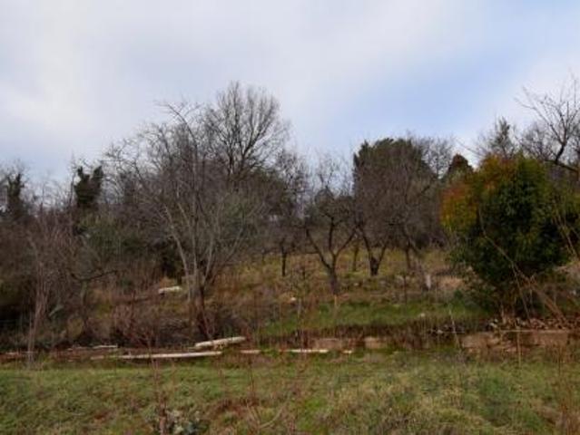 TERRENO AGRICOLO di 4807 mq MONTEBELLUNA rif. ZT38G_49