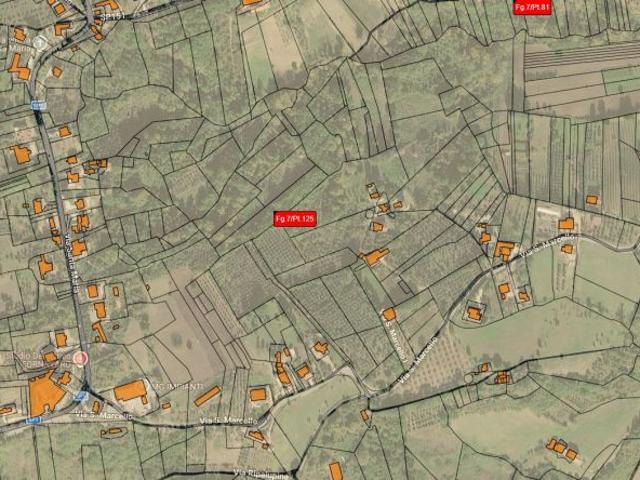 Terreno agricolo di 4.810 mq – San Leucio del Sannio BN