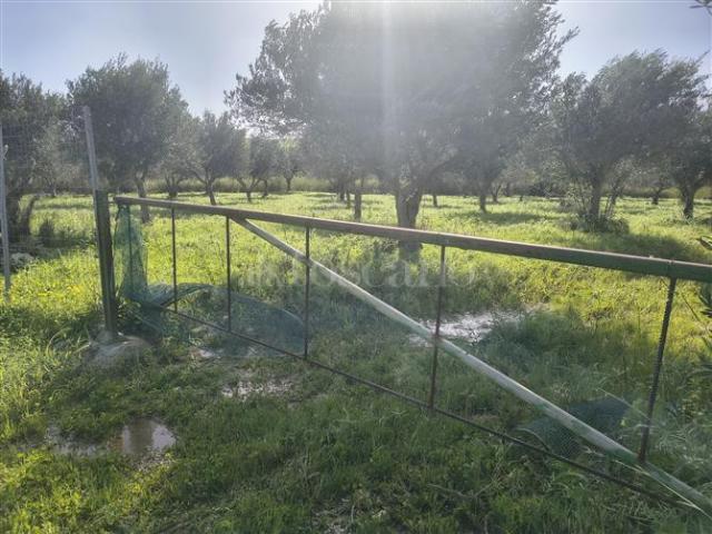 Terreno Agricolo di 55538 mq a Valderice