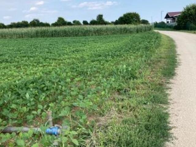 Terreno agricolo di 6805 mq in MORIAGO DELLA BATTAGLIA