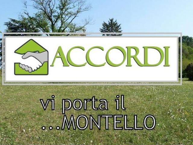 TERRENO AGRICOLO di 6000 mq MONTEBELLUNA rif. ZT19F_47