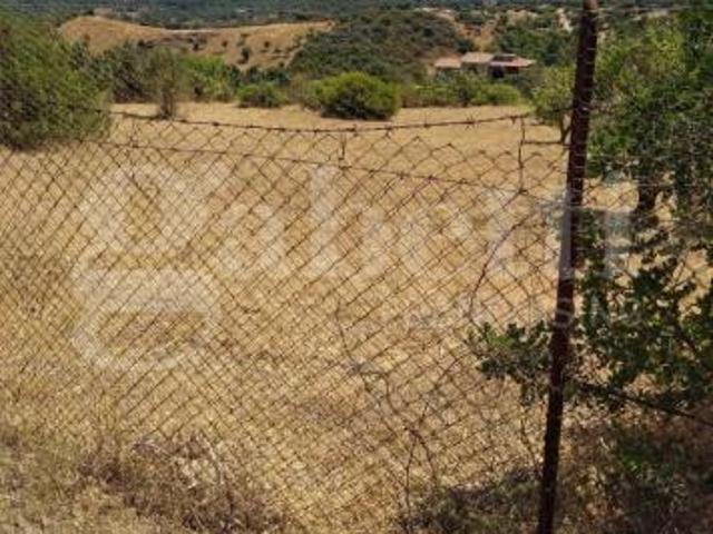 Terreno Agricolo Domus de Maria. Rif.: Cod. rif 3144588VCG