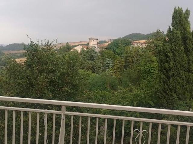 TERRENO AGRICOLO E PINETA