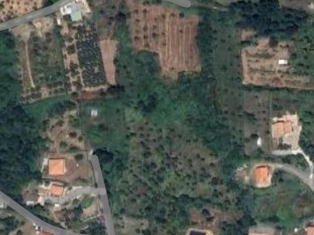 Terreno Agricolo Fiuggi. Rif.: Cod. rif 3276045VRG