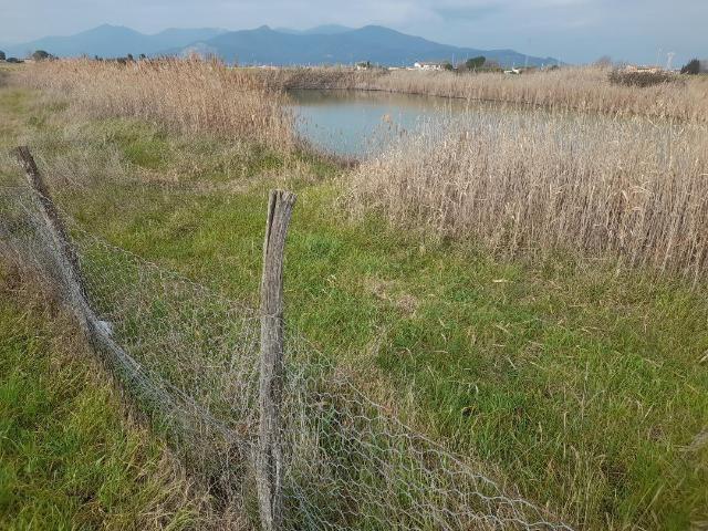 Terreno agricolo in affitto a Cascina