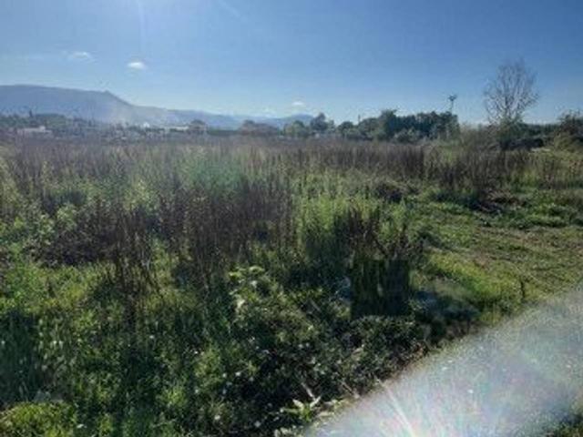 Terreno agricolo in affitto a Guidonia Montecelio
