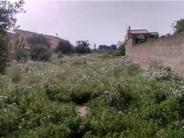 Terreno agricolo in affitto a Marsala