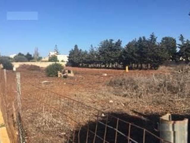 Terreno agricolo in affitto a Marsala