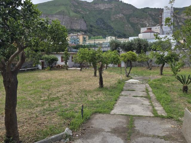 Terreno Agricolo in affitto a Napoli