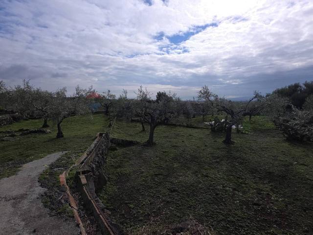 Terreno agricolo in affitto a San Pietro Clarenza
