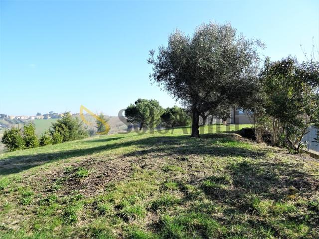 Terreno agricolo in Affitto a Senigallia