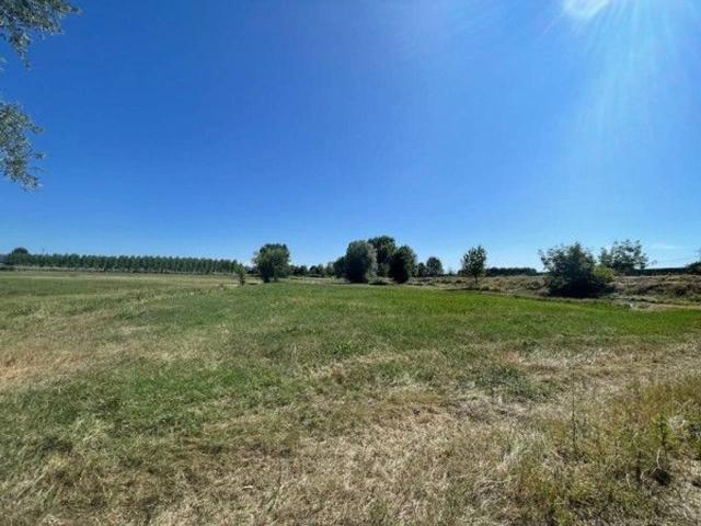 Terreno agricolo in affitto a Sommariva Del Bosco