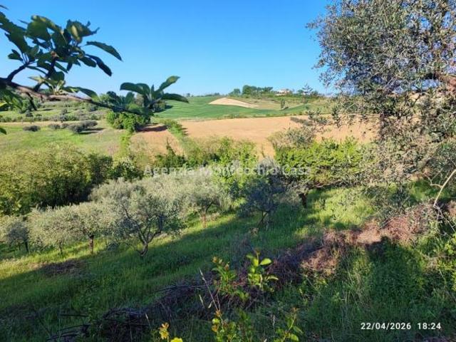Terreno Agricolo in vendita