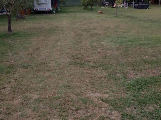 Terreno Agricolo in vendita, Collesalvetti stagno