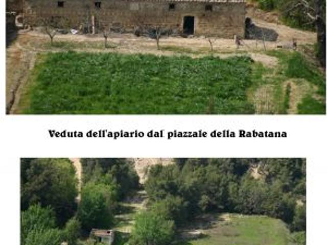 Terreno agricolo in vendita con apiario