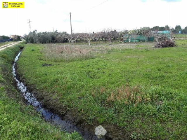 Terreno Agricolo in vendita, Cascina san frediano a settimo