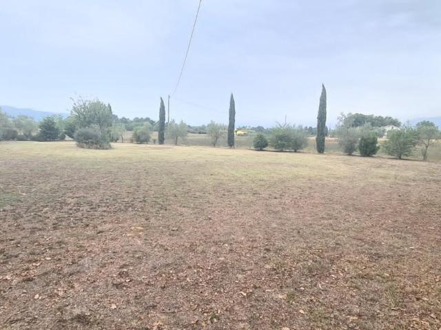 Terreno Agricolo in vendita, Castelfranco di Sotto orentano
