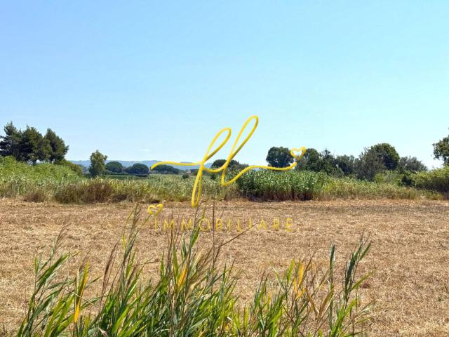 Terreno Agricolo in vendita, Cecina marina